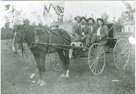 Horse And Buggy Tullos