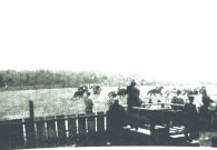 Horse Racing In 1920s