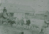 John Prestridge Killed By Causey Brown With A Knife