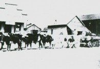 Log Wagon In Olla 1900s