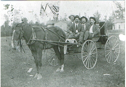 Horse And Buggy Tullos