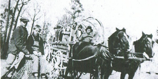 Horse Team And Wagon