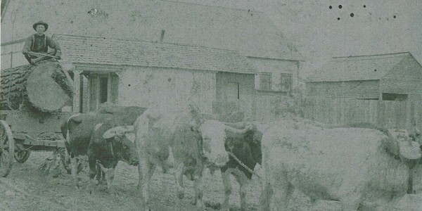 John Prestridge Killed By Causey Brown With A Knife