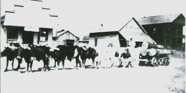 Log Wagon In Olla 1900s