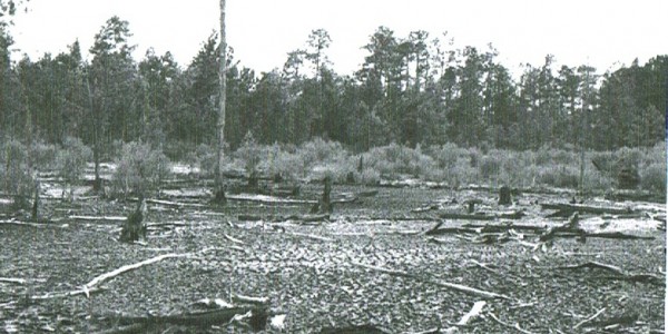 Low Lands